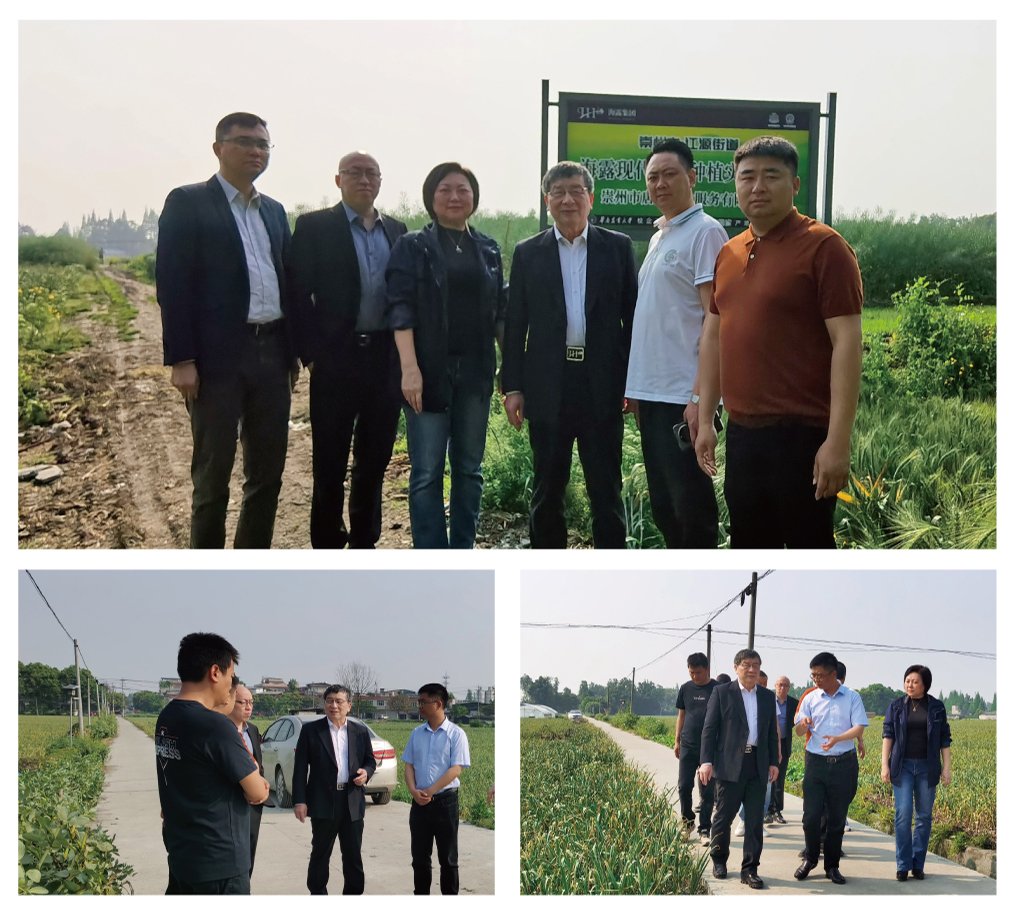 J9旗舰厅(中国区)官方网站