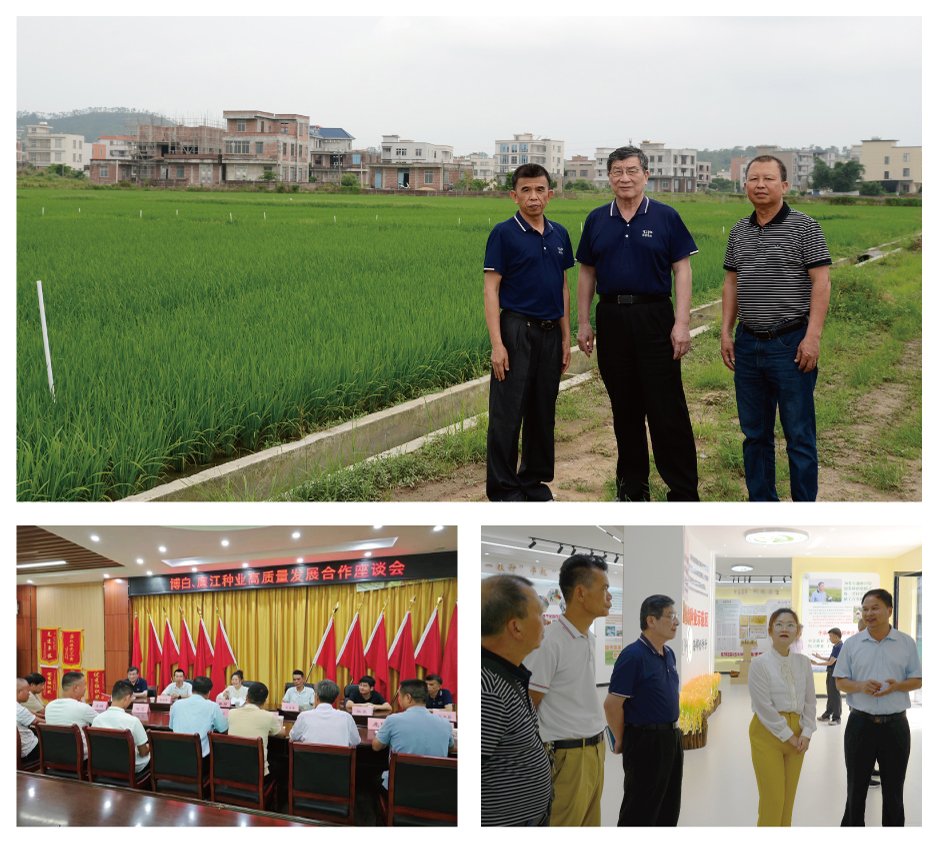 J9旗舰厅(中国区)官方网站