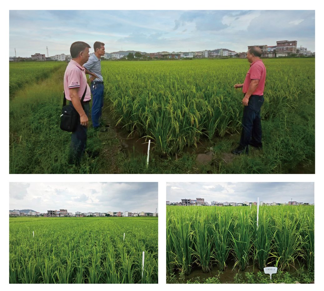 J9旗舰厅(中国区)官方网站