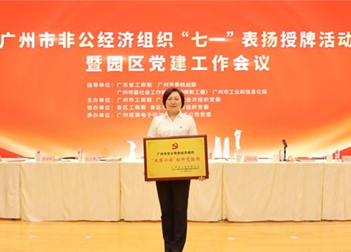 标杆引领，荣誉升级！集团党支部荣膺广州市非公有造经济组织“双强六好”标