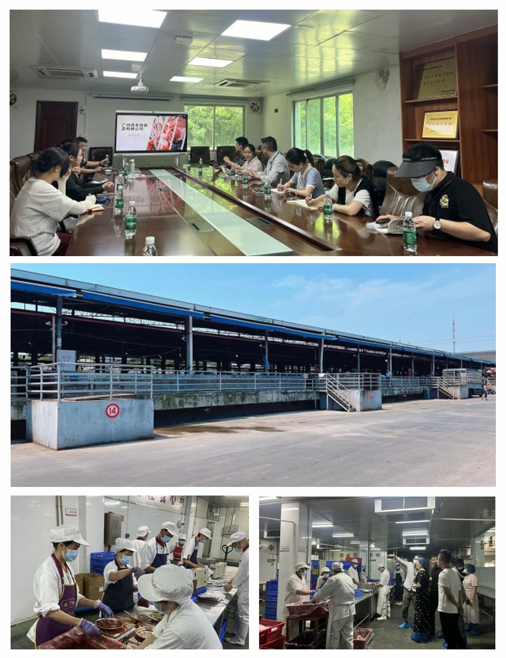 J9旗舰厅(中国区)官方网站