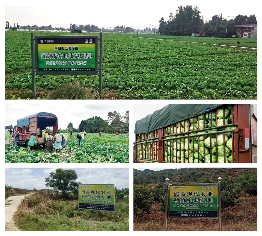 J9旗舰厅(中国区)官方网站