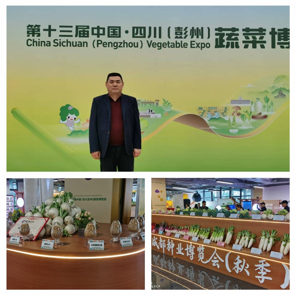 J9旗舰厅(中国区)官方网站