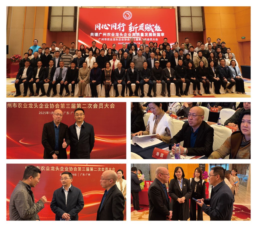 J9旗舰厅(中国区)官方网站