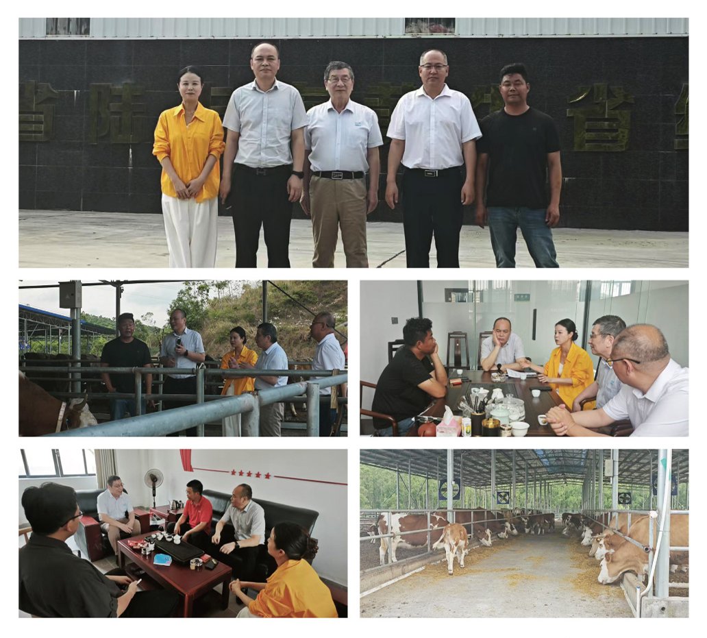 J9旗舰厅(中国区)官方网站