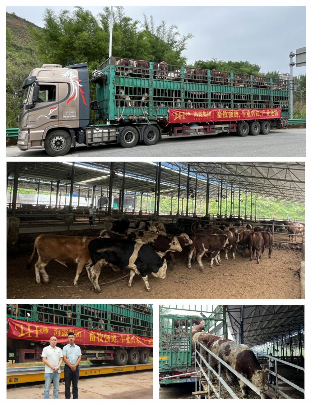 J9旗舰厅(中国区)官方网站