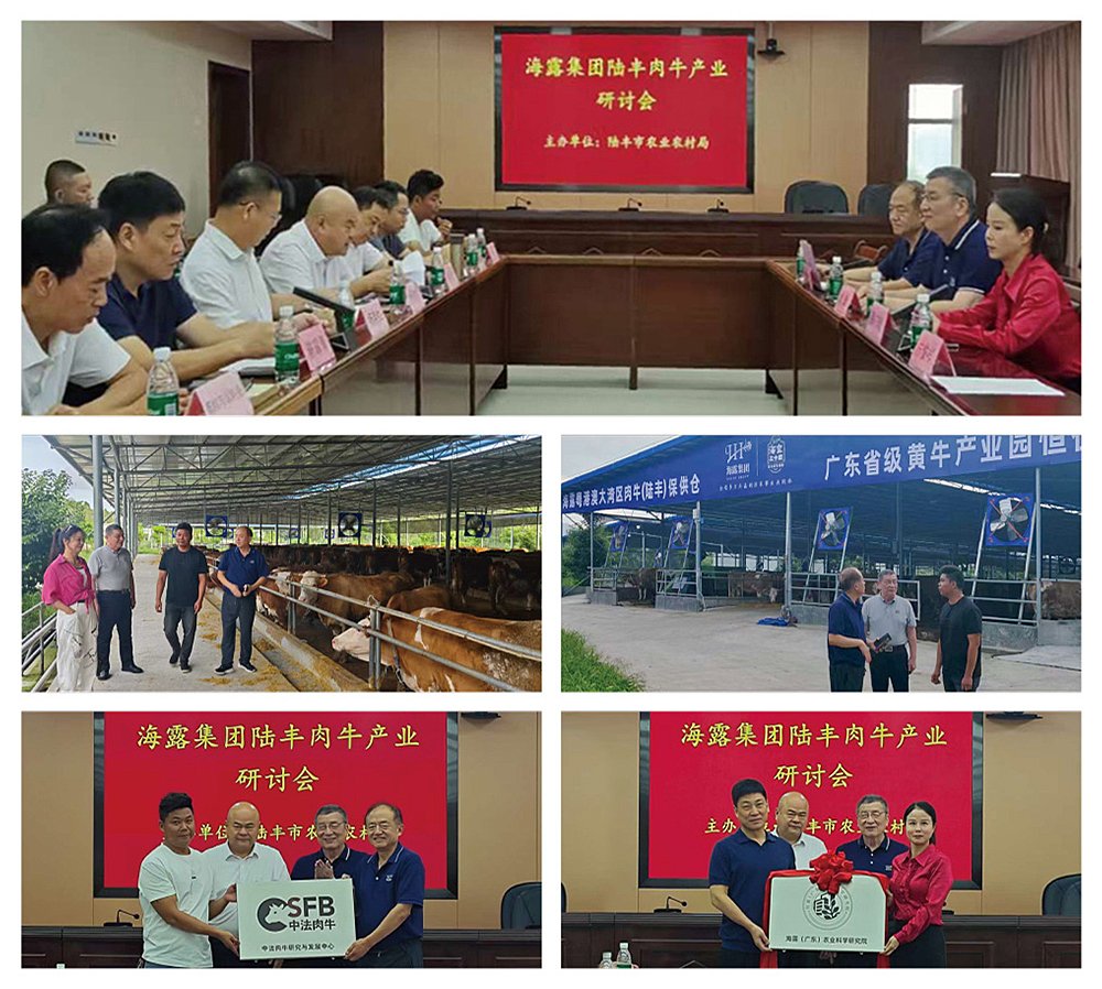 J9旗舰厅(中国区)官方网站