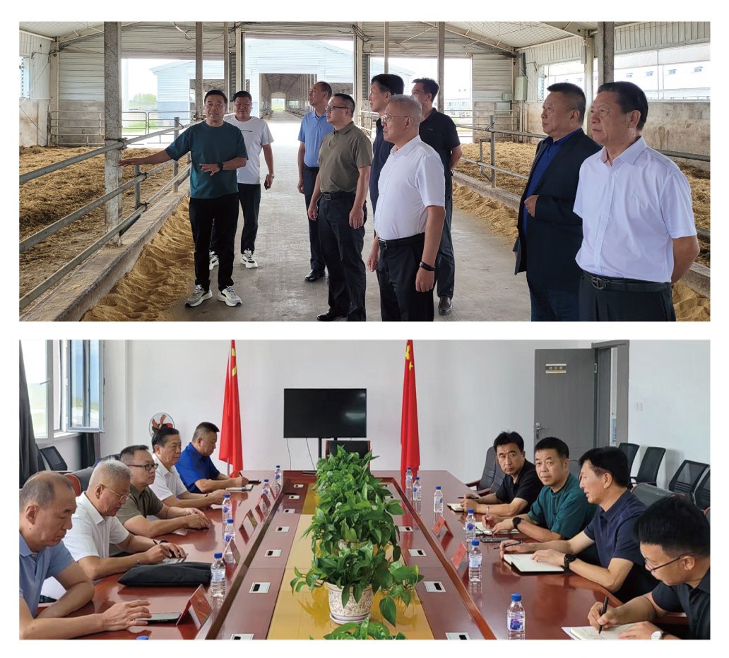 J9旗舰厅(中国区)官方网站