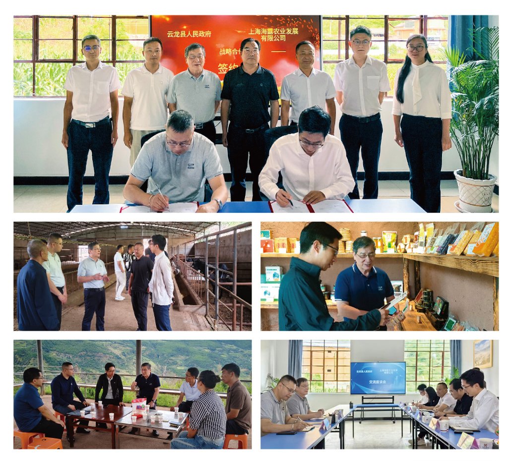 J9旗舰厅(中国区)官方网站