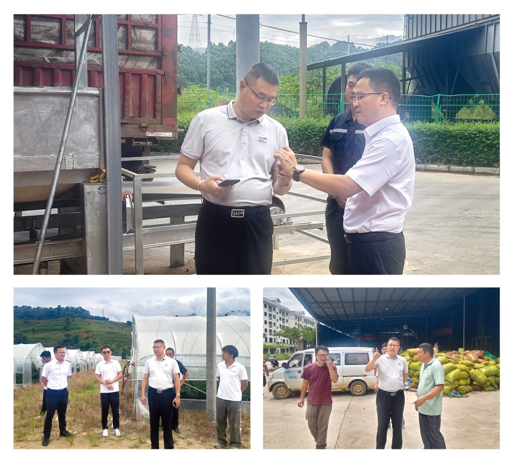 J9旗舰厅(中国区)官方网站