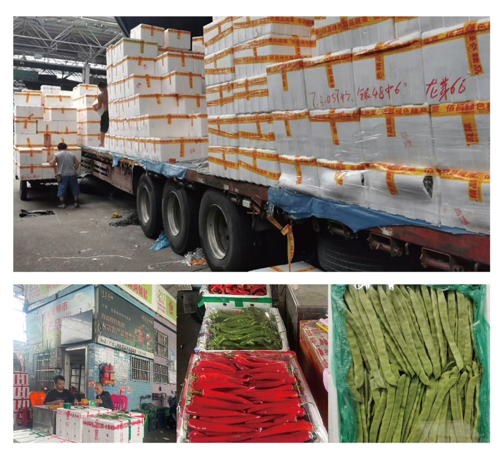 J9旗舰厅(中国区)官方网站