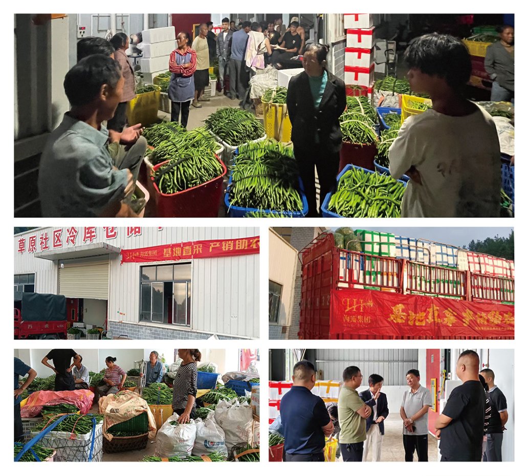 J9旗舰厅(中国区)官方网站