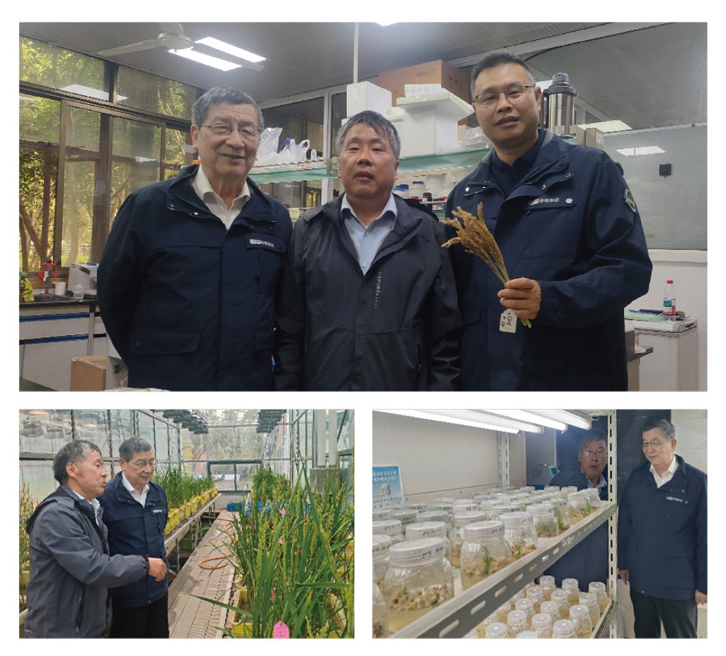 J9旗舰厅(中国区)官方网站